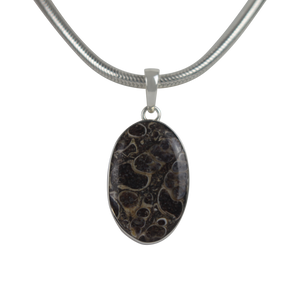 A simple Oval Shaped Turtella Agate Set on Sterling Silver Open Back bazel