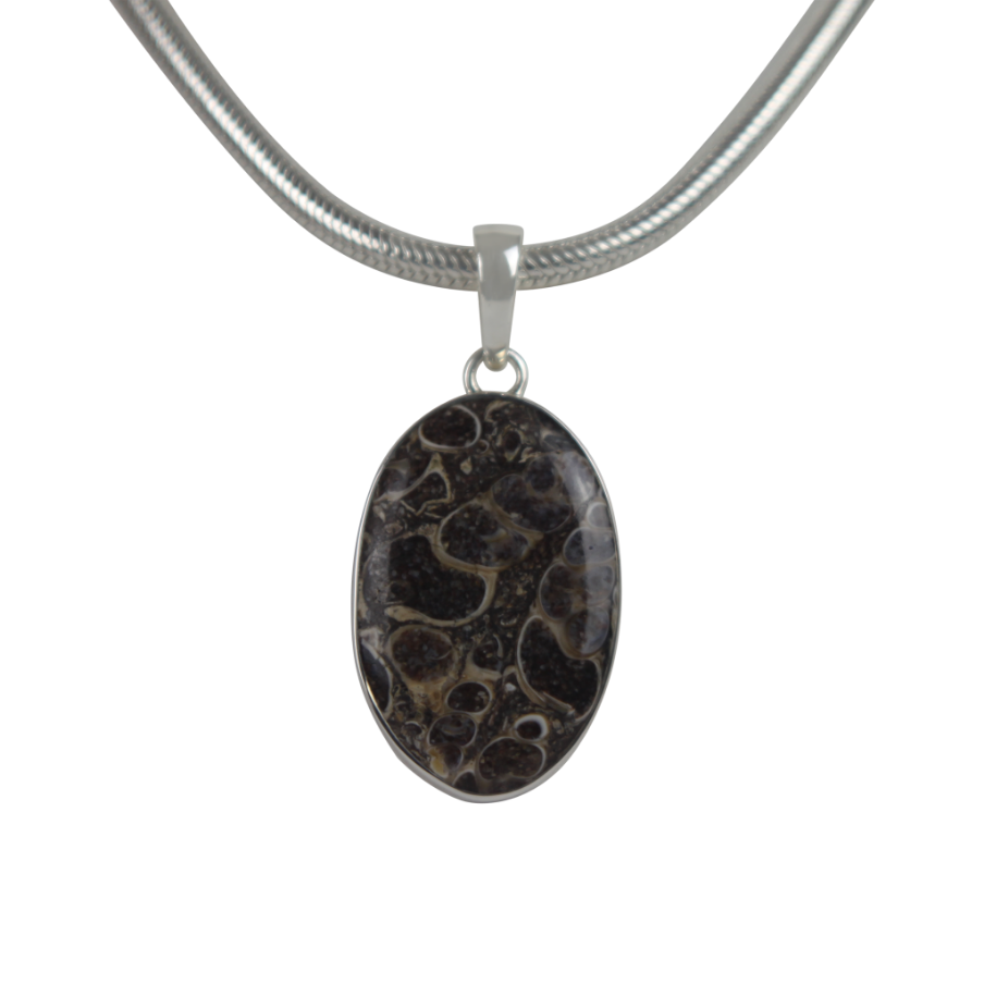 A simple Oval Shaped Turtella Agate Set on Sterling Silver Open Back bazel