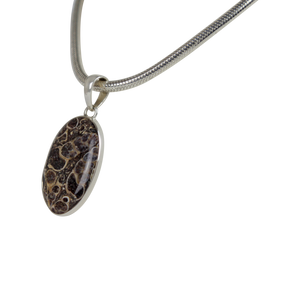 A simple Oval Shaped Turtella Agate Set on Sterling Silver Open Back bazel